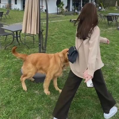 情殷助学